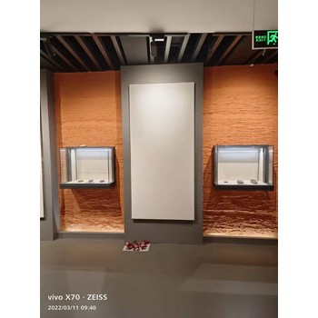 惠州博物館展示柜懸掛柜生產設計廠家-隆城博具