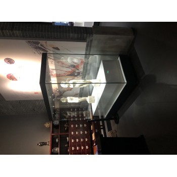 博物馆展示柜-定制大型通柜-隆城博具