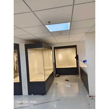博物館展示柜-博物館陳列柜-隆城博具