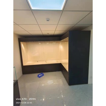 博物館展柜制作-電動門開啟展柜廠家-隆城博具