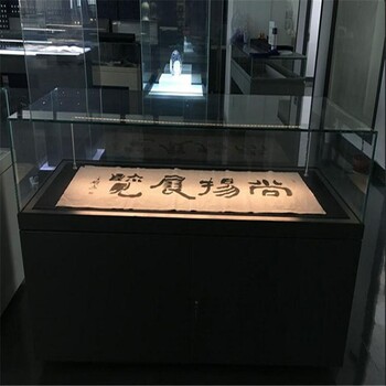 品牌廠家大量定制博物館紀念館展柜-美術館展柜-隆城博具