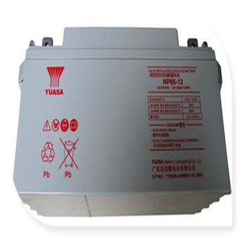 內蒙湯淺蓄電池直流屏配電柜NPL65-12EPS電源12V65AH