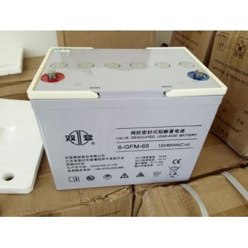 双登蓄电池UPS蓄电池12V-65AH铅酸免维护蓄电池机房断电备用