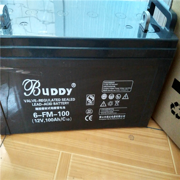 大同寶迪蓄電池6-GFM-100直流屏12V100AH儲能UPS電源