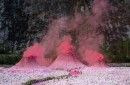网红粉色火山浪漫火山租赁图片
