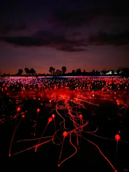 發(fā)光原野燈光藝術(shù)展大型戶外燈光亮化工程