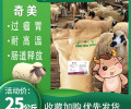 北京绿色天宝奇美包膜复合酶牛羊健胃促生长吃得多吃得好长肉快