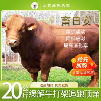 牛羊總是打架？別擔心，畜日安讓你牛羊安靜，趴窩長肉！