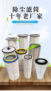 螺桿除塵濾芯噴涂回收系統(tǒng)塑粉集塵灰濾芯拋丸機噴砂通用除塵濾筒