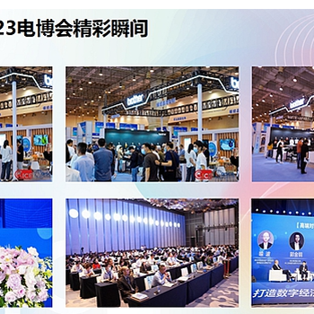 2024中國國際消費(fèi)電子博覽會(huì)&家用電器創(chuàng)新展覽會(huì)