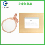 小麥低聚肽廠家