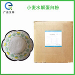 小麥水解蛋白粉廠家