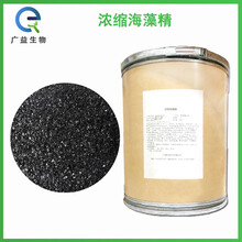 濃縮海藻精廠家圖片