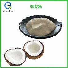 椰漿粉廠家圖片
