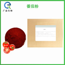 番茄粉廠家圖片