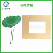 荷葉香精廠家圖片