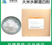 大米水解蛋白粉生产厂家