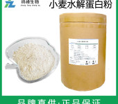 小麦水解蛋白粉生产厂家