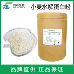 小麥水解蛋白粉生產廠家