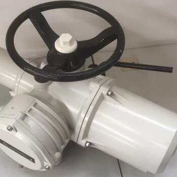 羅托克電動(dòng)執(zhí)行器CKD40智能IQ40遠(yuǎn)程控制總線控制