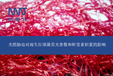 光照脅迫對雨生紅球藻熒光參數和蝦青素積累的影響