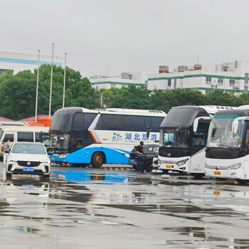 大巴/盘州到温岭汽车/客车新增线路/客车