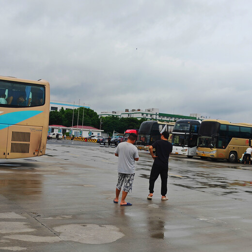 浦江到台江直达长途客车