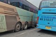 購票/瑞安到青島長途客車高速直達/客車
