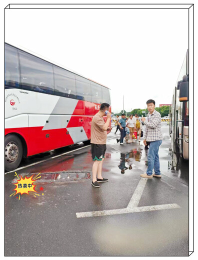 购票/路桥到舞阳直达客车车票预订及票价/客车