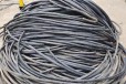 新津铝导线回收近日报价回收旧电缆
