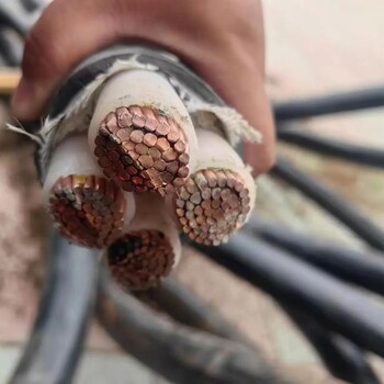 清遠(yuǎn)市銅排線回收耐火電纜回收電力電纜回收