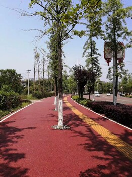 彩色透水混凝土與瀝青路面整體現(xiàn)澆盲道施工一米