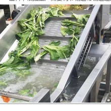 食品厂用蔬菜清洗机鲜花生清洗去泥机