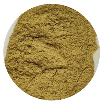 橄欖葉提取物