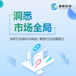 企業(yè)管理咨詢服務(wù)市場占有率研究報告2025年版