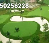 庭院迷你高爾夫果嶺娛樂迷你高爾夫迷你9洞高爾夫果嶺