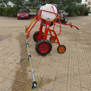 科鑫自走式手扶打藥機(jī)農(nóng)田果園噴桿式噴霧機(jī)多噴頭支架式噴藥機(jī)