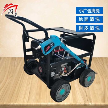 闖王高壓冷水清洗機(jī)移動(dòng)高壓清洗設(shè)備