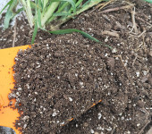直供营养土花土通用种菜育苗基质大包多肉土养花盆栽合成泥炭土