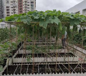 供应容量0.45-0.8屋顶轻质土养花阳台种菜土促进动植物生长