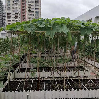 品牌配置各種輕質(zhì)土營(yíng)養(yǎng)土屋頂花園輕質(zhì)種植土養(yǎng)分均衡便宜