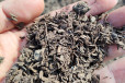 供应稻壳粪有机肥果树蔬菜通用型肥料基肥农用有机肥料
