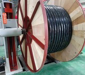 額定電壓0.6/1kV及以下交聯聚乙烯絕緣電力電纜