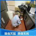 消殺除四害滅鼠殺蟲(chóng)白蟻蟑螂全新衛環(huán)保24小時(shí)受理服務(wù)
