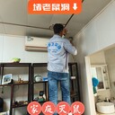 上海全新衛除白蟻蟑螂臭蟲(chóng)上門(mén)服務(wù)