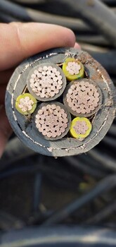 秦皇島鋼芯鋁絞線回收電纜電線回收