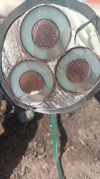 汕尾整軸全新電纜回收海纜回收