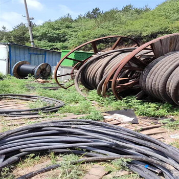 廈門整軸全新電纜回收海纜回收