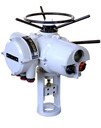 SI-2.1L羅托克單執(zhí)行器單作用機(jī)構(gòu)