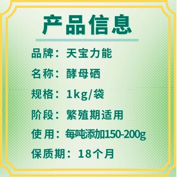 天寶力能畜日安：降低應激，牛羊安心長肉